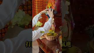 到土地公廟，如何讓財氣進入錢包？有方法，看完視頻包你學會！！ #聖杯九姊 #土地公 #植福宮 #招財#好運體質養成 #奇門遁甲