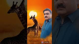 #bollywood #song #movie #trending #funnyvideos #latest #funny #top #topvideo