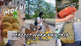Perfect Nara Day Trip! The Ultimate Food Odyssey: Nara's Deer & Delicacies to Osaka's Street Eats!