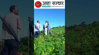 chauri kharka traveling