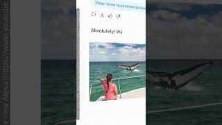 Alexa+ wurde vorgestellt! #Amazon #Alexa #AlexaPlus