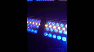 AL-Q4IP Vibrant | 800W of Color Explosion!#stagelighting #lightingdesign #ip65light  #concertlights