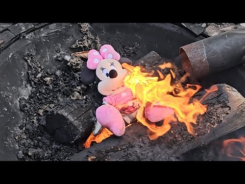 I TORCHED Minnie Mouse... Here's What Happened