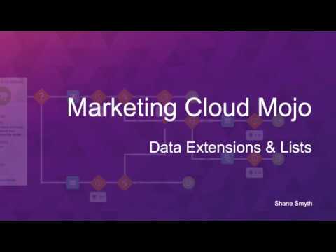 Data Extensions & Lists