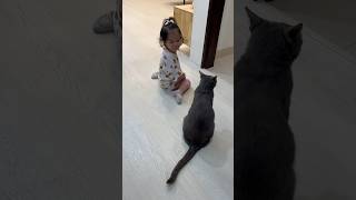 女兒小莫［育兒日常］妹妹遇到了一隻新貓咪，坐著靜靜的和她對望。2y2m10d