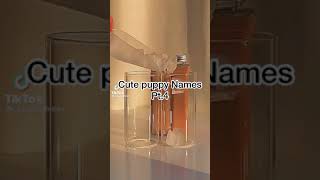 🍁Cute Puppy Names🍁