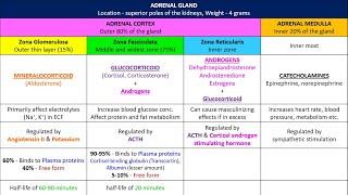 Adrenal gland and it's hormones. Chapter 78 part 1. Guyton and Hall Physiology.