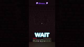 Minecraft, But I'm A Ghast