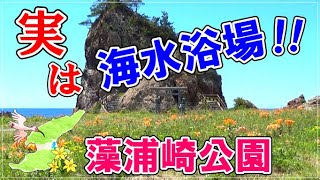 海水浴が楽しめる藻浦崎公園に行ってみた！