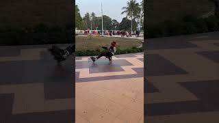 Skating Romeo @rajshahiskatingclub #inlineskating #shortsfeed #youtubeshorts