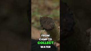 How to Camouflage Your Gear in the Wilderness | Expert Tips and Techniques #shorts