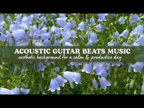 Acoustic Guitar Music Playlist with Real Blooming Garden | Aesthetic Background for a Calm Day