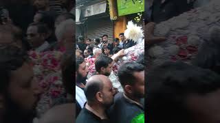 8 Muharram Bazariya||Amroha Azadari live ||Amroha Muharram||Zuljanah||Meesum Abbas Noha||2025//1447