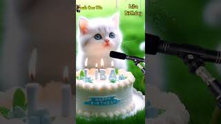 HAPPY BIRTHDAY LIBA | HAPPY BIRTHDAY SONG WITH NAMES | Adorable Cute Cat 😺 #cat #cute