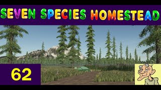 EP62~First Large Field~FS25 Seven Species Homestead Map