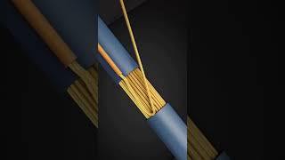 best wire joint idea#shorts #electric #electrician #safety