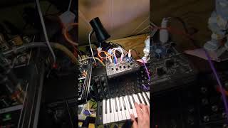 crazy synth patches sounds Korg ms-20 #synth #synthesizer #music #idm #ambient #noise
