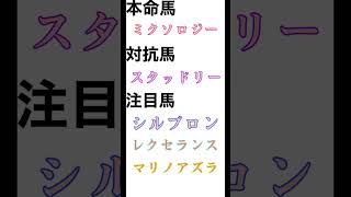 2023 ダイヤモンドステークス マル秘予想公開　#shorts