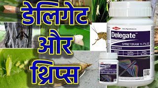 Dow Delegate/spineotiram/Thrips control