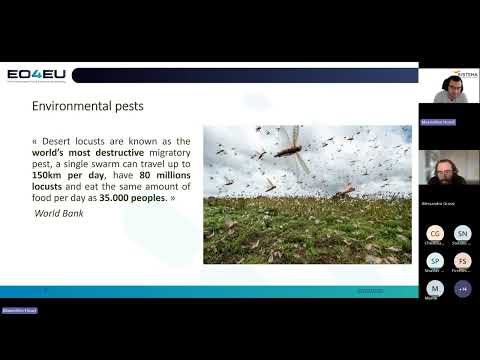 EO4EU Workshop Series: Use Case 6 - Environmental Pests 22 July, 2025