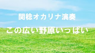 この広い野原いっぱい(オカリナ演奏)関稔