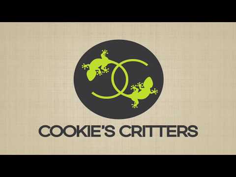 Sydney Reptile Breeders - Cookies Critters Intro