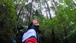 東海道五十三次を歩く旅   My walking journey -Old Tokaido Road-