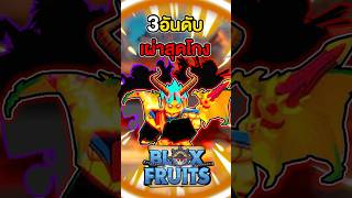 3อันดับเผ่าที่โกงที่สุดในเกม Bloxfruits #roblox #bloxfruit #bloxfruits #mongu #บล็อกฟุต #โรบอก