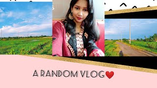 A Random Vlog ❤ | পূর্বাচল | Purbachal New Town 2020 | Shahida Shome