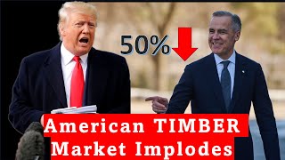 TRUMP in Disbelief as His Tariffs on CANADA Leave American Timber Giant Reeling, Home Sales Fall