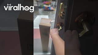 When You Get a Package but They Lock You in Your Own House || ViralHog