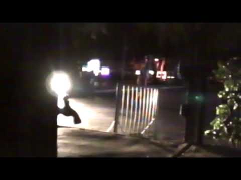 Skate Clip - Siesta Key - From year 2000