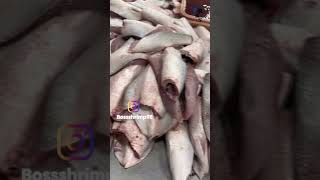 蝦頭家 - 台灣布袋虱目魚