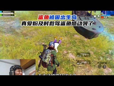 和平精英：鲨鱼巅峰赛被困出生岛，真爱粉及时救驾鲨鱼感动哭了！！