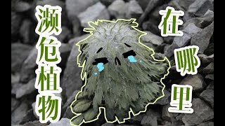 【理性派對】被綜藝節目當作道具采走的它，為何“碰不得”？|中科院|格致論道|科學科普|知識科普|中科院SELF講壇|