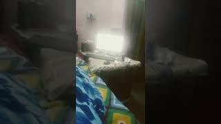 #askclass #short #viral #viralvideo #cricket