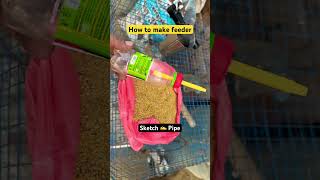How to make ‘FEEDER’❤️ Subscribe Us for more🤝 #shorts #pigeon #viral #feeder #kabutar #india