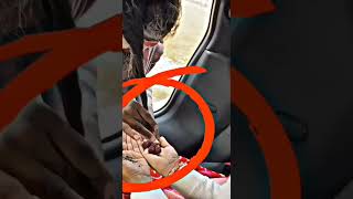 Awaken Your Spirit with Jogi Aghori Jatadhari Shiv Bhole's Viral Bhajan