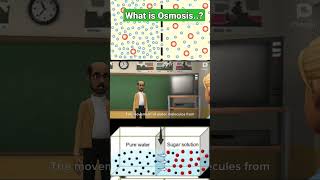 Osmosis | Transport process of Cell | #biology #cellbiology #osmosis
