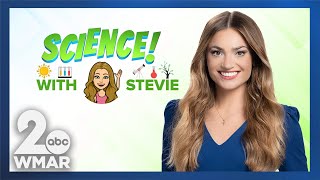 Science with Stevie: Why has it been so steamy & stormy?