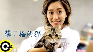 小男孩樂團 Men Envy Children【薛丁格的貓 Schrödinger's Cat】Official Music Video