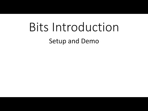 Introduction to Bits