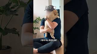 우디를 키우게 된 이유