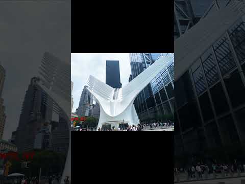 5 June 2025