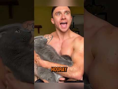 When Animals Go Bad & Bad to good #viralvideo #animals #funnyvideo #cats #dog #catshorts #funnyvideo