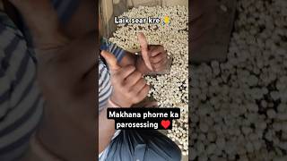 Makhana phorne ka prosessing #bollywood #makhana #foxnuts shorts video