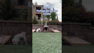 Doing pushups for Sunday Funday #pushupchallenge #motivation #positivevibes #mentalhealth #cutedog