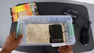 Hognose Snake Enclosure Setup for Baby Snakes
