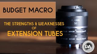 Cheap Macro?  The Pros and Cons of Extension Tubes