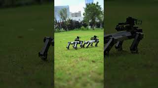 ELECFREAKS 丨Look! Who do we meet in the park? It seems that XGO Couple is terribly excited..#short